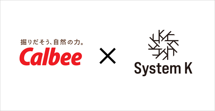 カルビー株式会社様と株式会社システム・ケイのロゴ